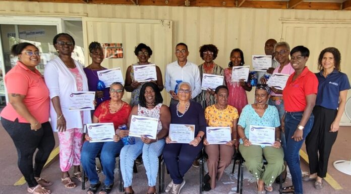 Empowering seniors through Technology: Our Cyber-Seniors Program 2025