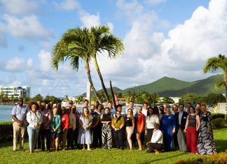14 organizations across 4 islands enter the second program year: Strengthening families by strengthening organizations around them