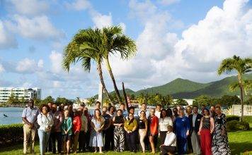 14 organizations across 4 islands enter the second program year: Strengthening families by strengthening organizations around them