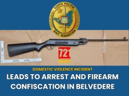 Domestic violence incident leads to arrest and firearm confiscation in Belvedere
