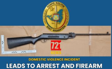 Domestic violence incident leads to arrest and firearm confiscation in Belvedere