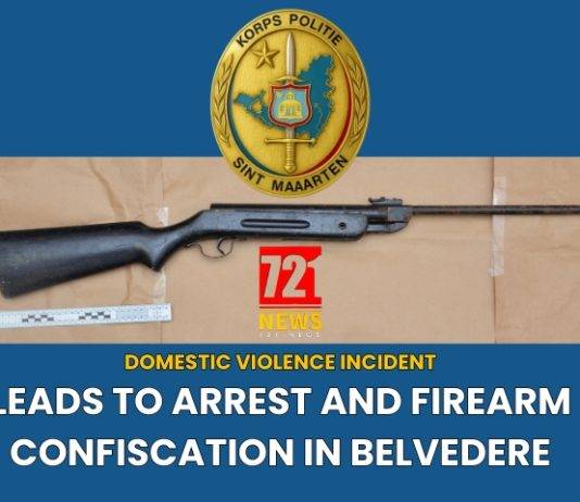 Domestic violence incident leads to arrest and firearm confiscation in Belvedere