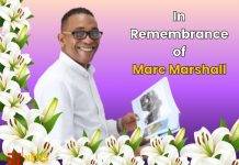In Remembrance of Marc Marshall