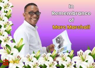 In Remembrance of Marc Marshall
