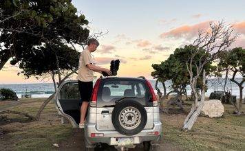 How Data Guide Future Nature Positive Decisions for Statia