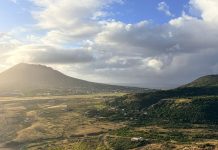 Statia Welcomes Court Ruling and Stands in Solidarity with Bonaire and Greenpeace