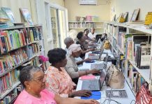 Click, Connect, and Thrive: Seniors in the Digital Age