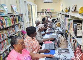 Click, Connect, and Thrive: Seniors in the Digital Age
