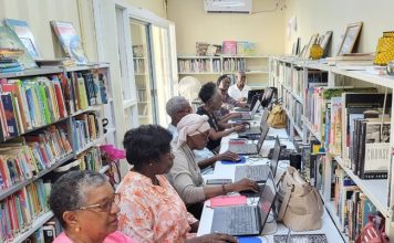 Click, Connect, and Thrive: Seniors in the Digital Age