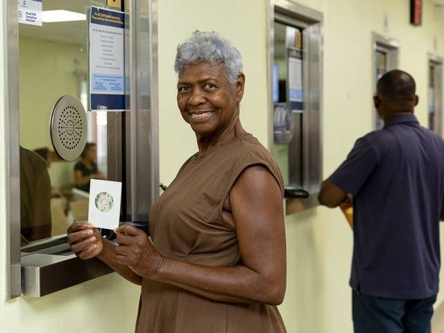 LDX Vehicle Sticker-3