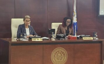 Central Committee meeting of Parliament regarding the approval of Parlatino travel schedule and several draft National Ordinances on Financial Oversight