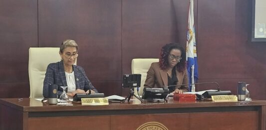 Central Committee meeting of Parliament regarding the approval of Parlatino travel schedule and several draft National Ordinances on Financial Oversight