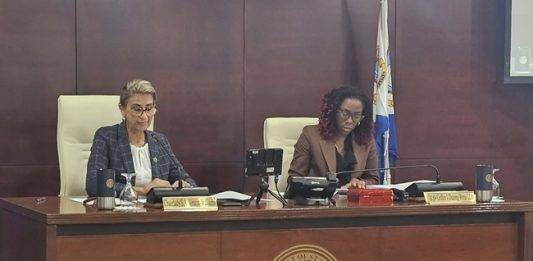 Central Committee meeting of Parliament regarding draft National Ordinance on Tax Reform, Phase I