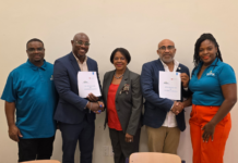 USM and NIPA to Host Joint Press Conference on Strengthening Education in St. Maarten