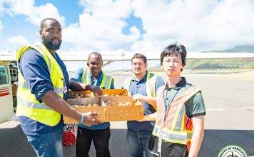 500 St. Kitts-born layer chicks flown to St. Maarten; 1,000 delivered to a local farmer recently