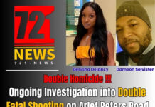 Ongoing Investigation into Double Fatal Shooting on Arlet Peters Road