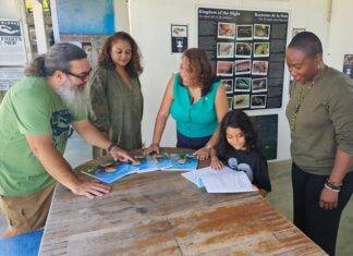 Island Gems Supports bilingual book project to bring Dutch in classrooms