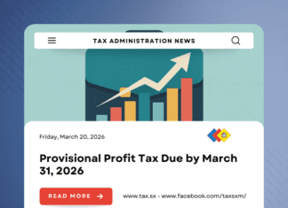 Provisional Profit Tax Due by March 31, 2026