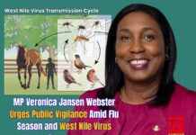 MP Veronica Jansen Webster Urges Public Vigilance Amid Flu Season and West Nile Virus Concerns
