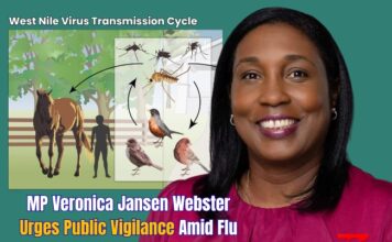 MP Veronica Jansen Webster Urges Public Vigilance Amid Flu Season and West Nile Virus Concerns