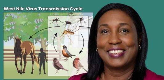 MP Veronica Jansen Webster Urges Public Vigilance Amid Flu Season and West Nile Virus Concerns