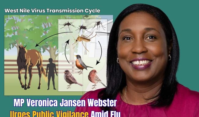 MP Veronica Jansen Webster Urges Public Vigilance Amid Flu Season and West Nile Virus Concerns
