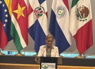 Sint Maarten Strengthens Caribbean Voice at 39th Parlatino Assembly