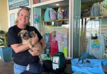 World Stray Animal Sunset Sail hosted on April 4th by Aqua Mania Adventures to Support St. Maarten’s Animal Welfare Organizations