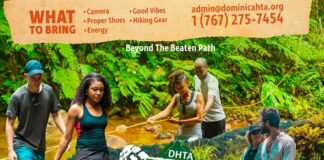 Dominica Sets the Pace for Caribbean Hiking This May with HikeFest 2026