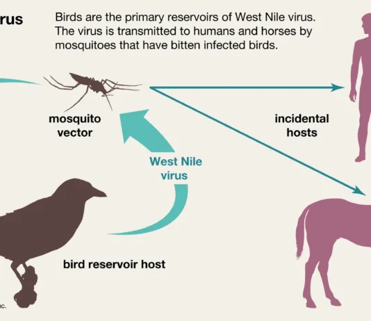 First Locally Acquired Case of West Nile Virus Identified in Anguilla