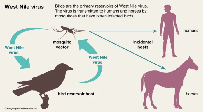 First Locally Acquired Case of West Nile Virus Identified in Anguilla