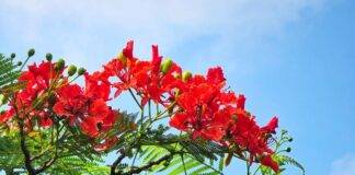 Getting to work with three priorities for the Caribbean part of the Kingdom