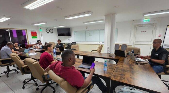 Statia strengthens digital decision-making with iBabs onboarding sessions