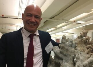 Caribbean coral emergency response plan moves forward to address growing reef threats