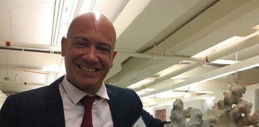 Caribbean coral emergency response plan moves forward to address growing reef threats