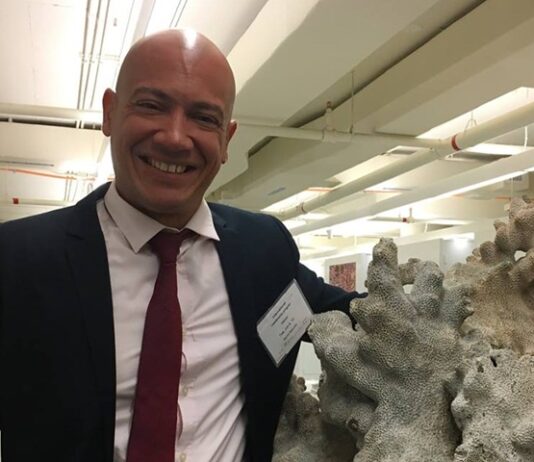 Caribbean coral emergency response plan moves forward to address growing reef threats