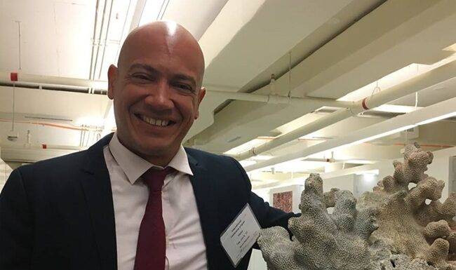 Caribbean coral emergency response plan moves forward to address growing reef threats