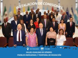 PARLATINO convenes four Standing Commissions to promote agendas of equality, health, migration and indigenous peoples