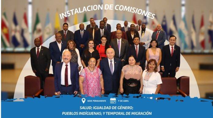PARLATINO convenes four Standing Commissions to promote agendas of equality, health, migration and indigenous peoples