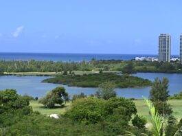 Ongoing coastal development plans continue to threaten St. Maarten’s nature and access