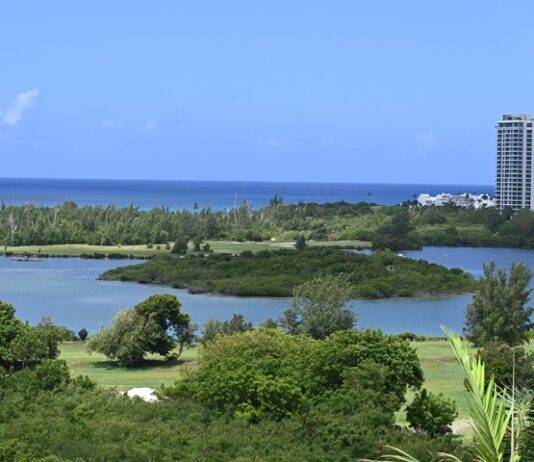 Ongoing coastal development plans continue to threaten St. Maarten’s nature and access