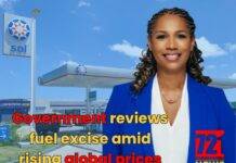 Government reviews fuel excise amid rising global prices