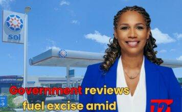Government reviews fuel excise amid rising global prices