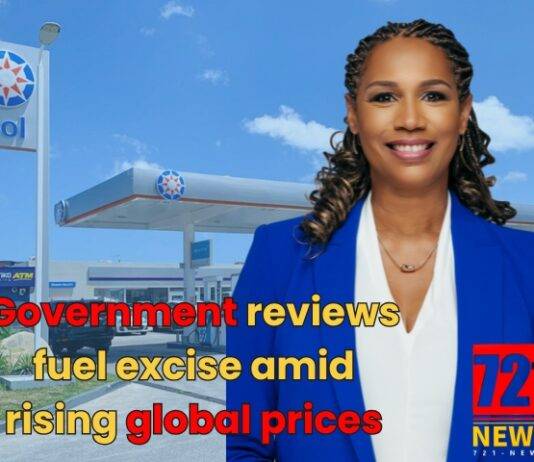 Government reviews fuel excise amid rising global prices
