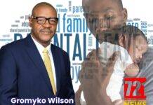 Paternity leave is still not regulated for civil servants