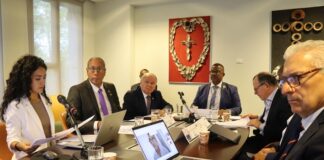 PARLATINO Temporary Commission on Migration analyzes progress of the Global Compact, regional legislation and emerging challenges