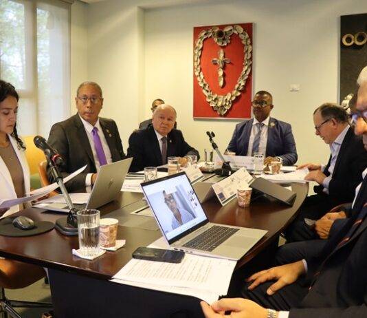 PARLATINO Temporary Commission on Migration analyzes progress of the Global Compact, regional legislation and emerging challenges