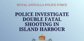 Police Investigate Double Fatal Shooting in Island Harbour