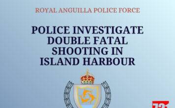 Police Investigate Double Fatal Shooting in Island Harbour