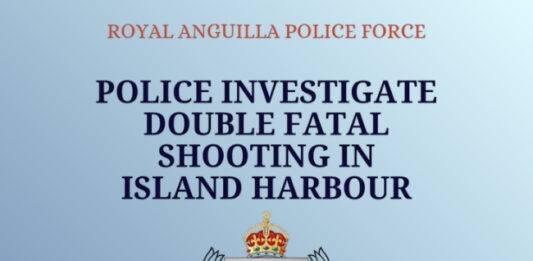 Police Investigate Double Fatal Shooting in Island Harbour